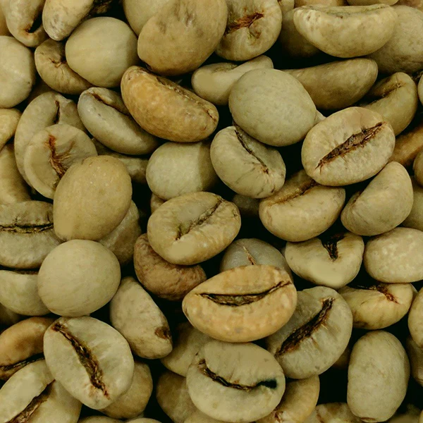 Indian Robusta Coffee Beans For Sale