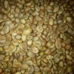 Indonesia Robusta Coffee Beans