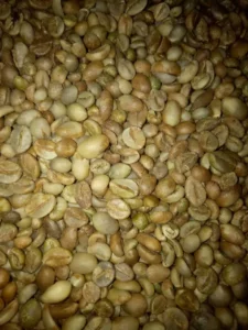 Indonesia Robusta Coffee Beans