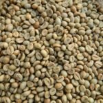 Premium Vietnam Robusta Coffee Beans for Sale