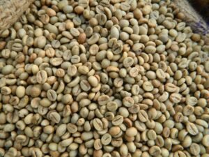 Premium Vietnam Robusta Coffee Beans for Sale