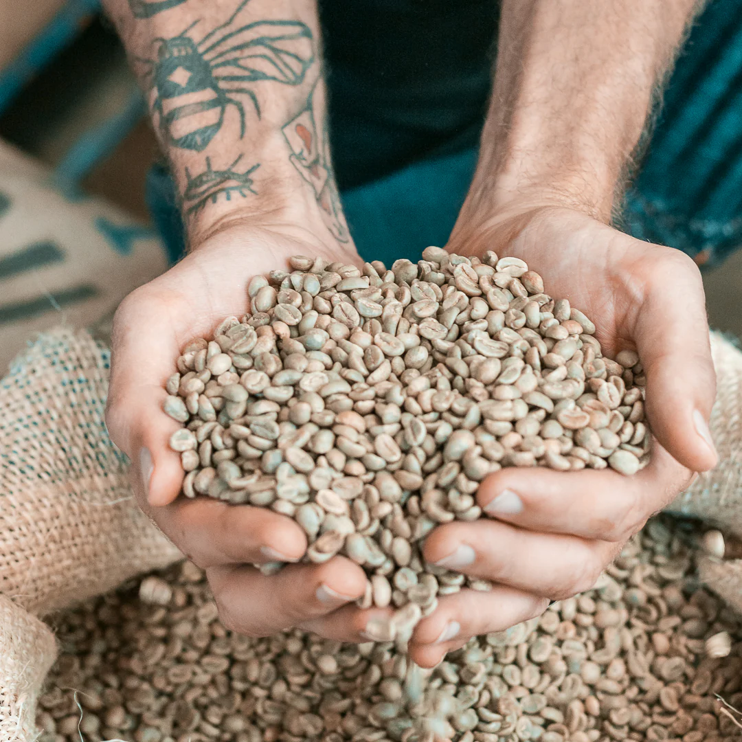 Brazilian Robusta coffee beans ready for export