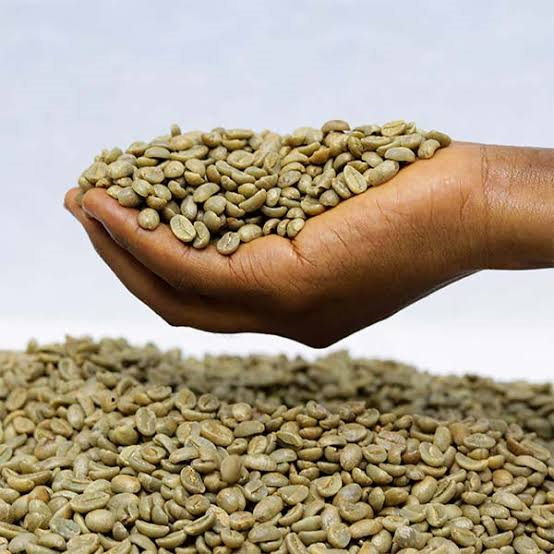 green Africa Arabica coffee beans in bulk